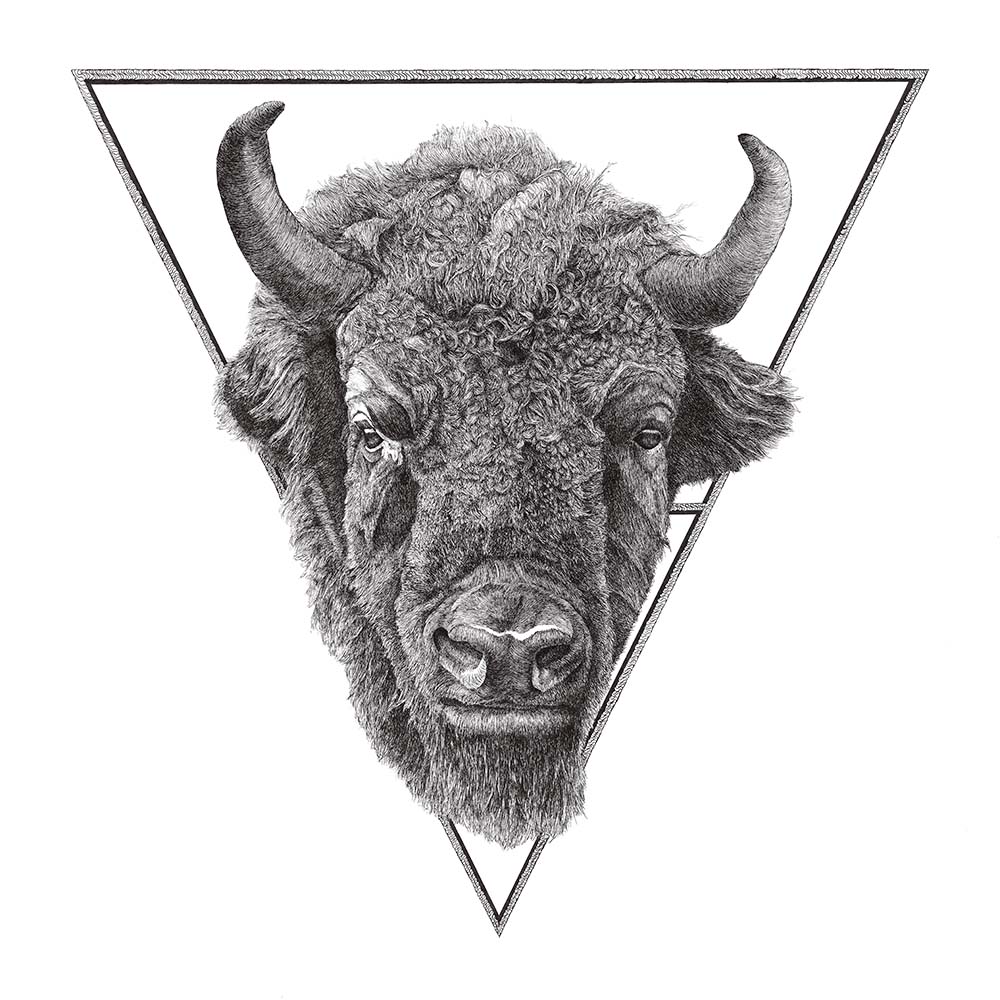 Detaljert penn- og blekktegning av en bison av Neringa Zibaite, med bisonhodet innrammet av en geometrisk trekant.