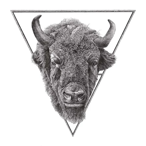 Detaljert penn- og blekktegning av en bison av Neringa Zibaite, med bisonhodet innrammet av en geometrisk trekant.