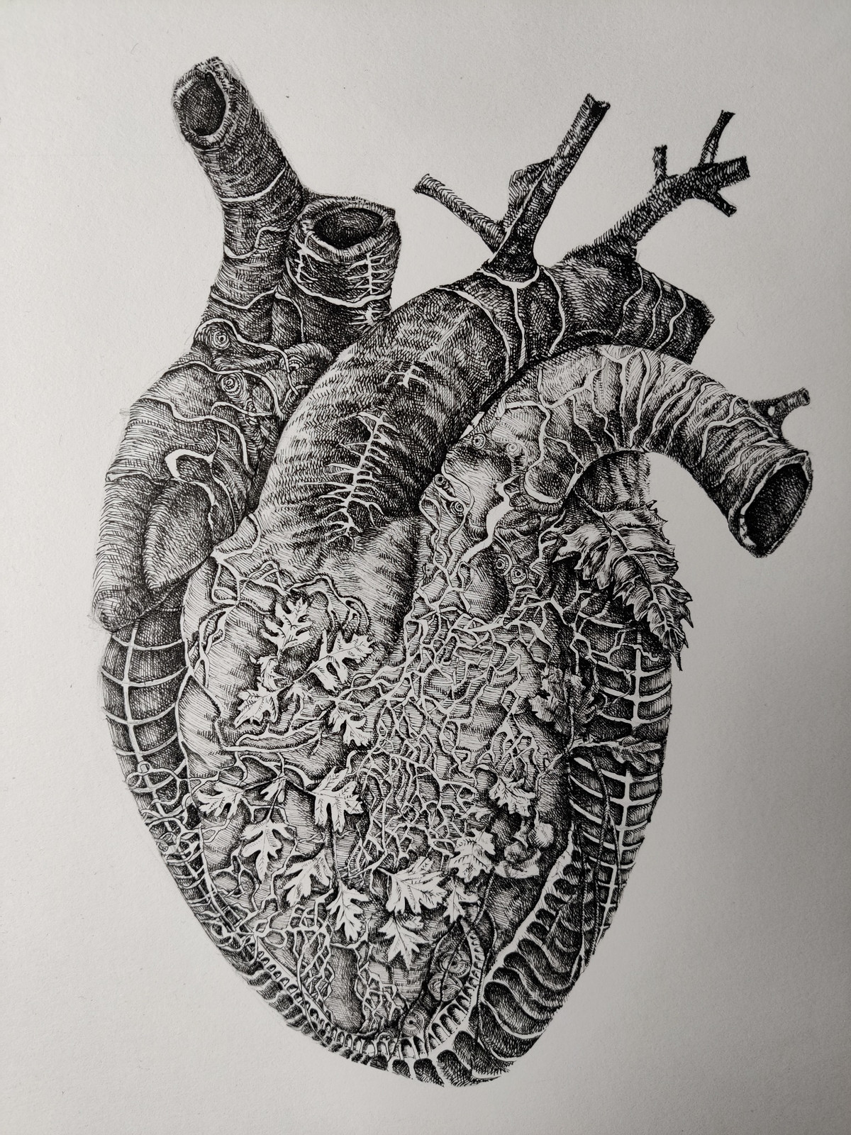 Detailed pen and ink drawing of an anatomical heart filled with leaves, roots and organic natural forms, by Neringa Zibaite.