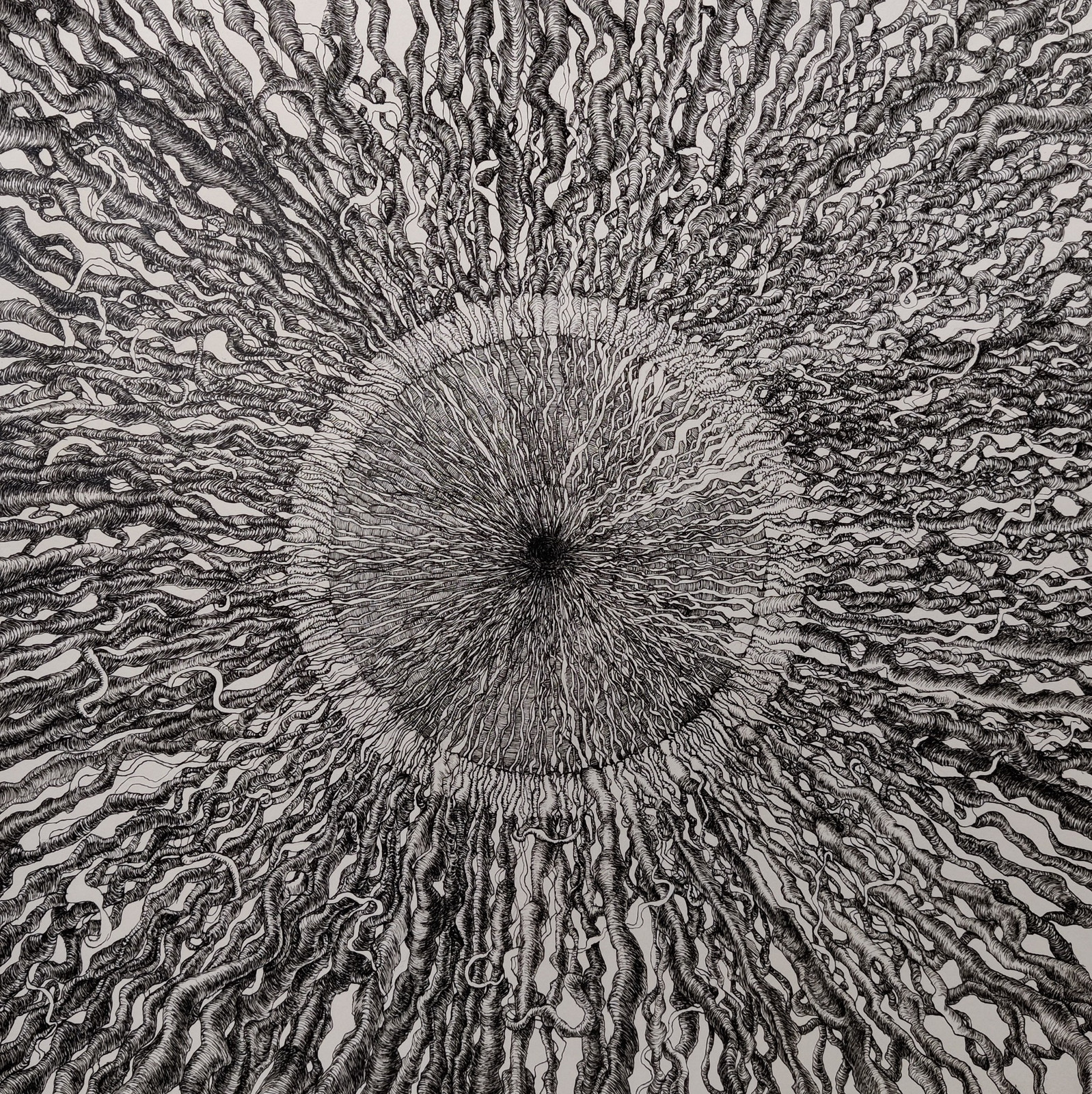 Abstract organic pen and ink drawing of thousands of root-like lines radiating from a dark centre, by Neringa Zibaite.